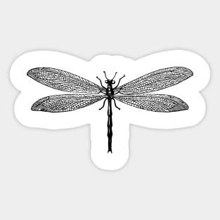 Dragonfly Sketch Sticker